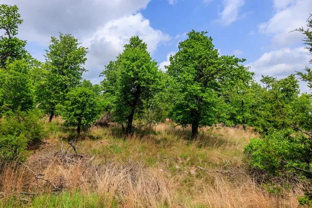 $1,095,000 | 2050 Adj Lane, Fredericksburg, TX 78624