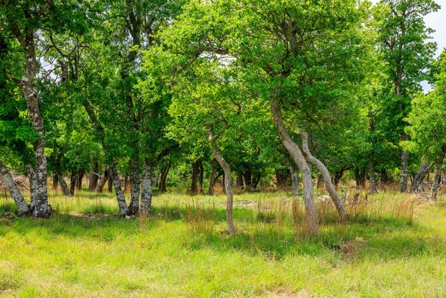 $1,095,000 | 2050 Adj Lane, Fredericksburg, TX 78624