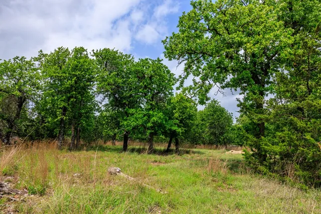 $1,095,000 | 2050 Adj Lane, Fredericksburg, TX 78624