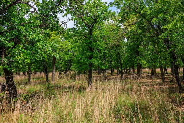 $1,095,000 | 2050 Adj Lane, Fredericksburg, TX 78624