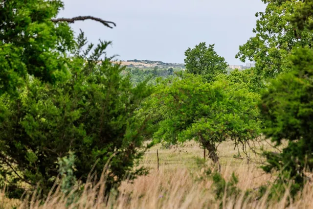 $1,095,000 | 2050 Adj Lane, Fredericksburg, TX 78624