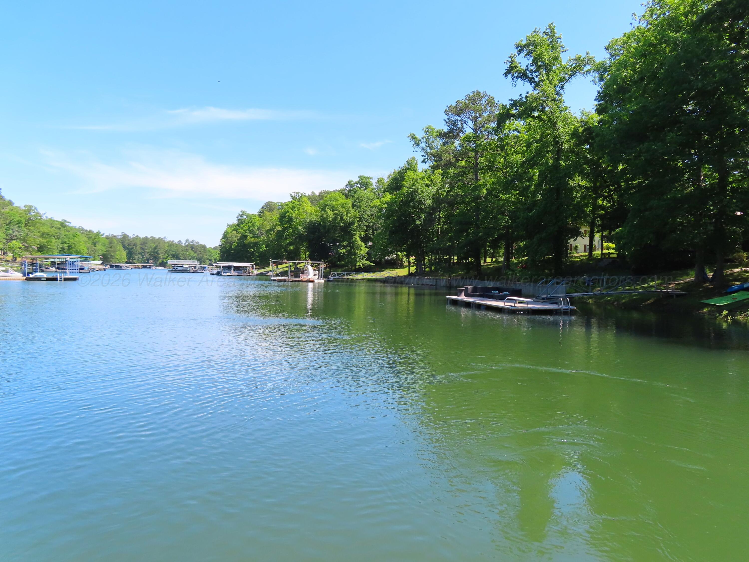 795 Raccoon Creek Road Jasper, AL 35504 - Photo 23 of 23 IMG_8863