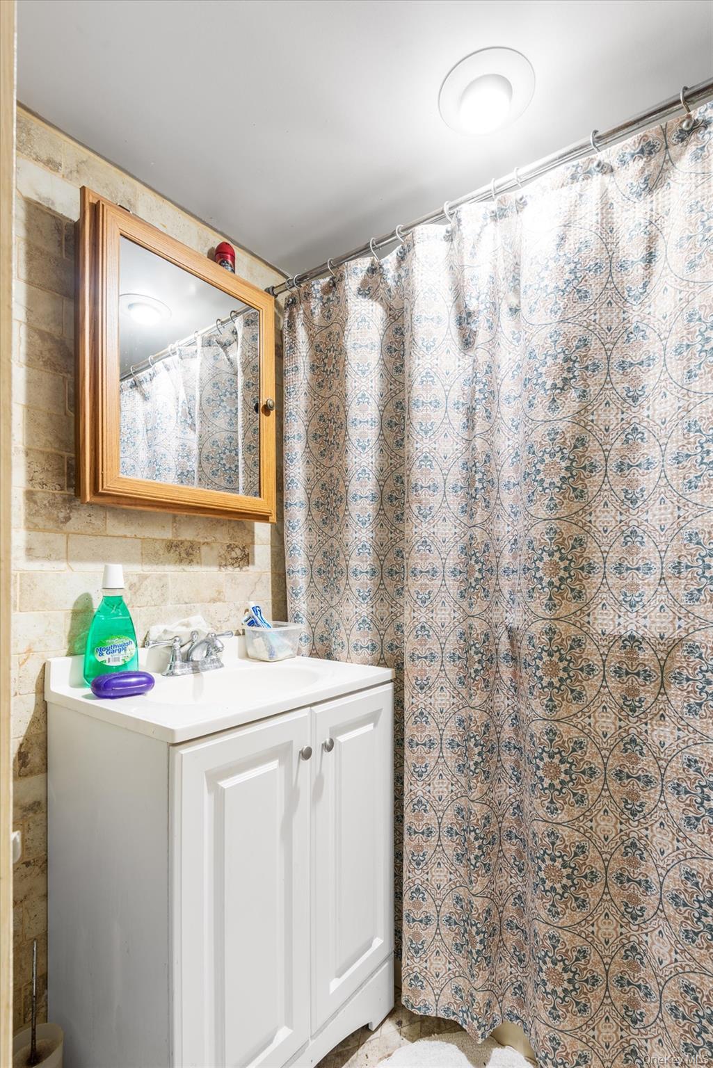 151-42 82nd Street Queens, NY 11414 - Photo 17 of 24 a bathroom with a sink mirror and a shower