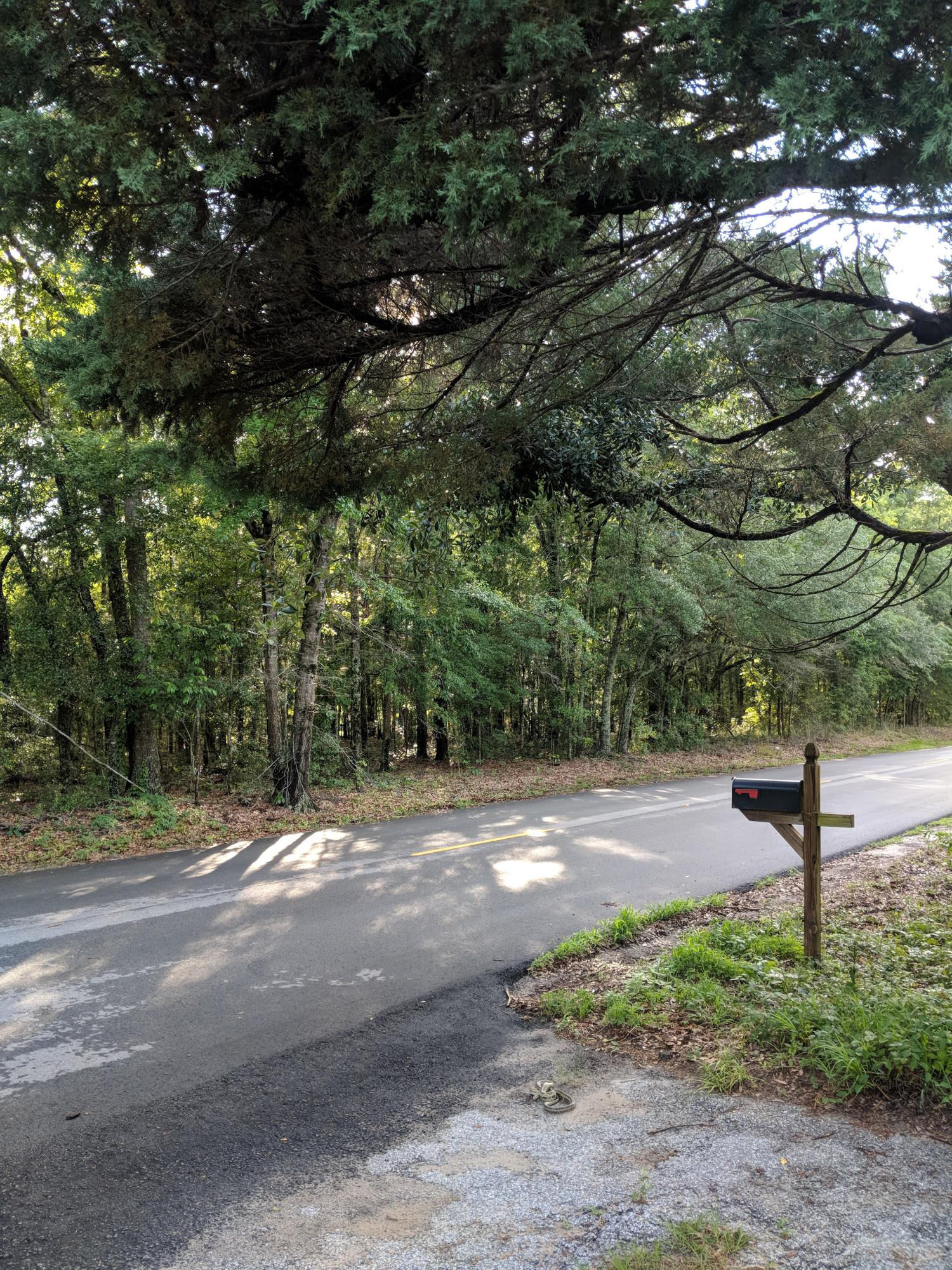 735 County Rd S-18-246 Dorchester, SC 29437 - Photo 4 of 21 735 Powder Horn