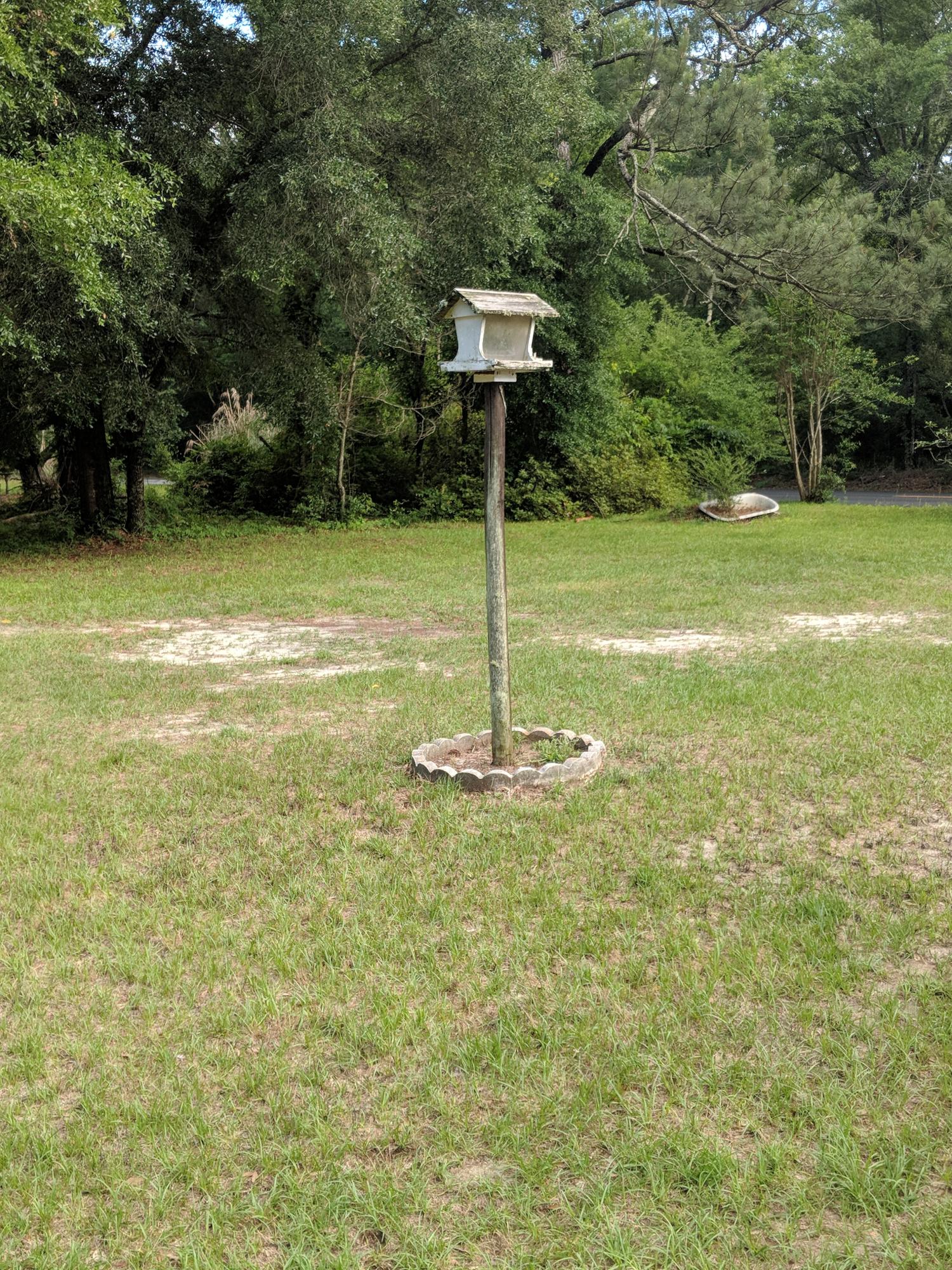 735 County Rd S-18-246 Dorchester, SC 29437 - Photo 10 of 21 IMG_20180518_175241