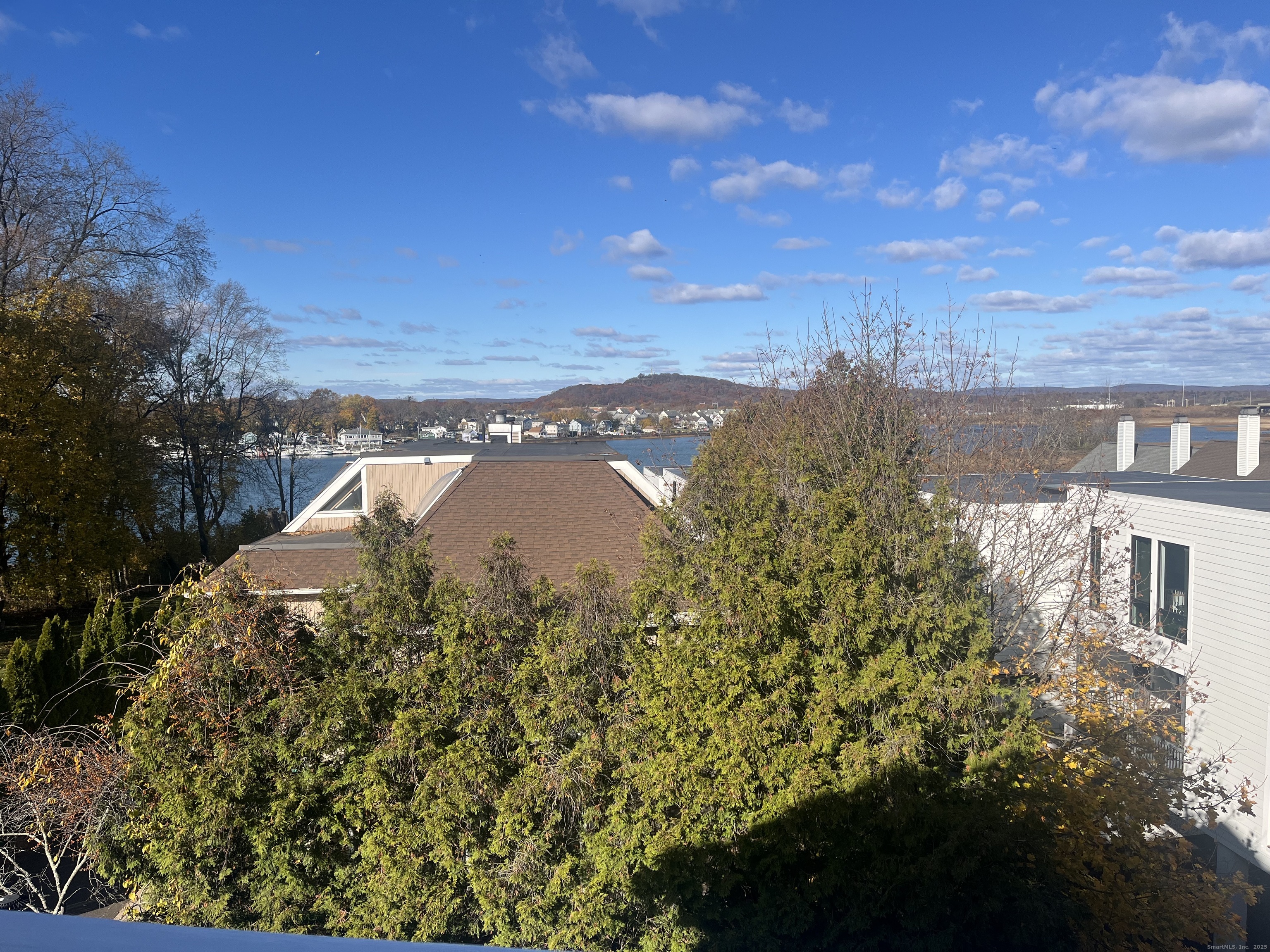 896 Quinnipiac Avenue, Unit 3 New Haven, CT 06513 - Photo 24 of 38 a view of a lake with a city