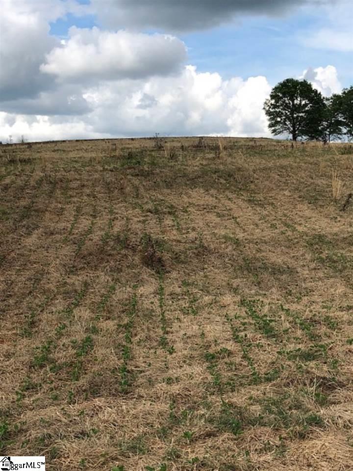 0 Alverson Road Campobello, SC 29322 - Photo 14 of 14