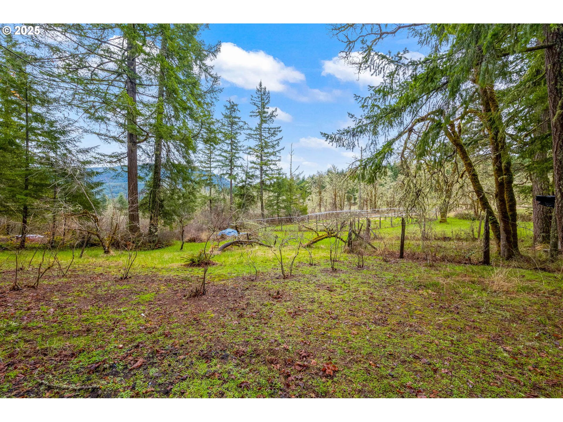 40440 Big Fall Creek Road Lowell, OR 97452 - Photo 21 of 32