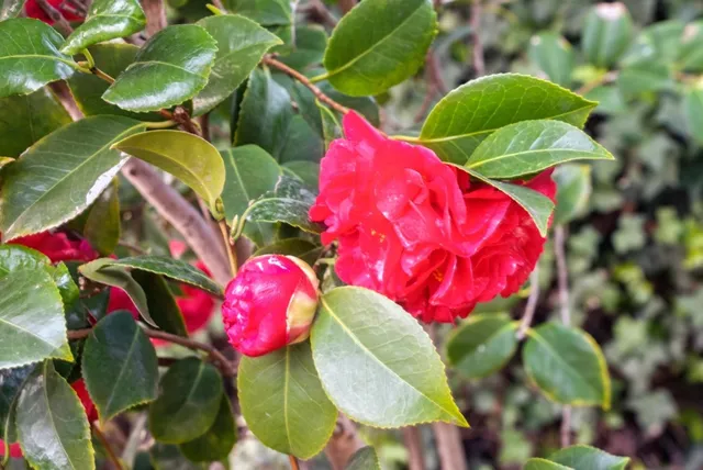 $950,000 | 330-330 Melven Court, San Leandro, CA 94577