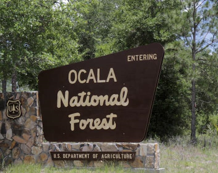 17983 Northeast 243rd Place Road Fort McCoy, FL 32134 - Photo 2 of 15 a sign broad