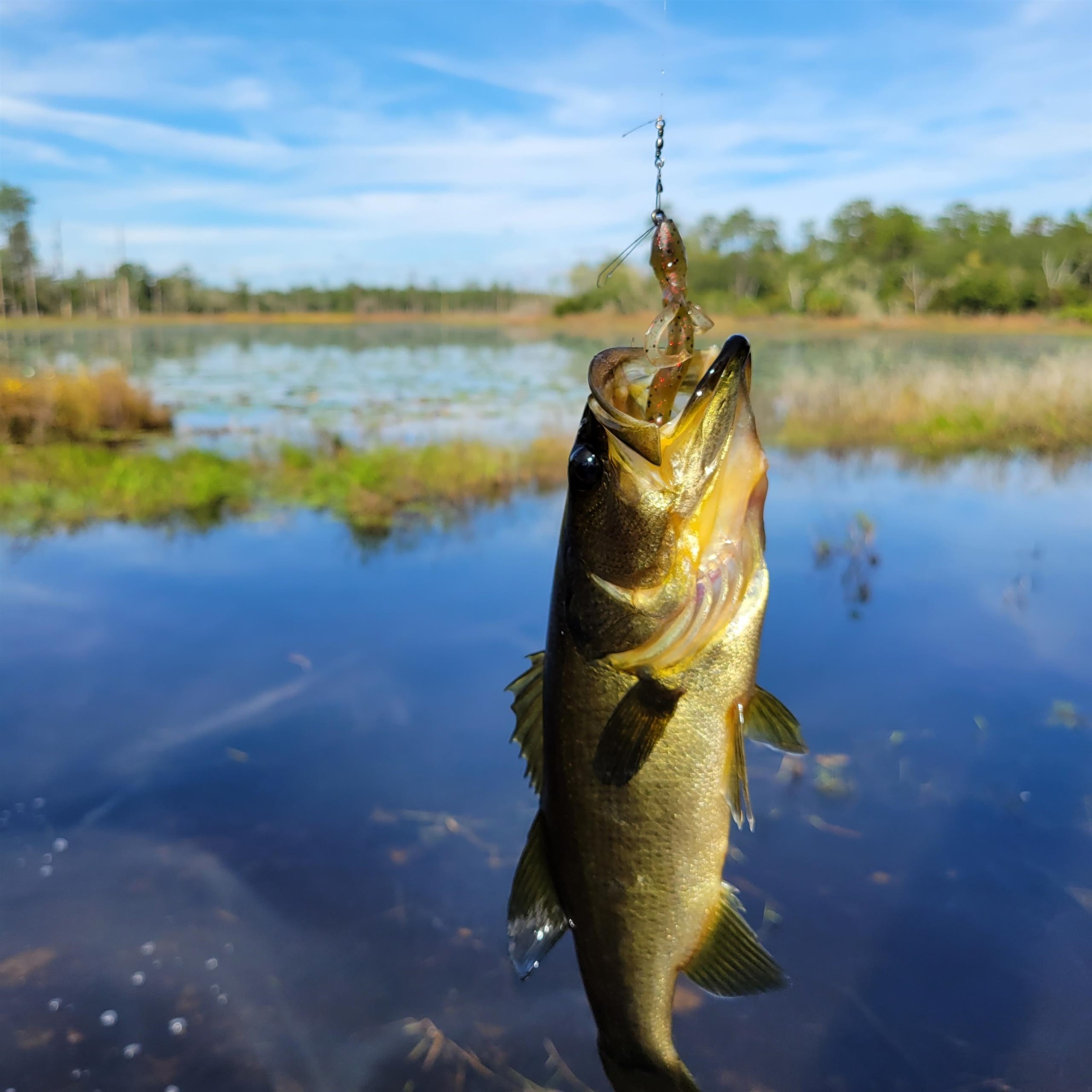 17983 Northeast 243rd Place Road Fort McCoy, FL 32134 - Photo 3 of 15 a view of a lake