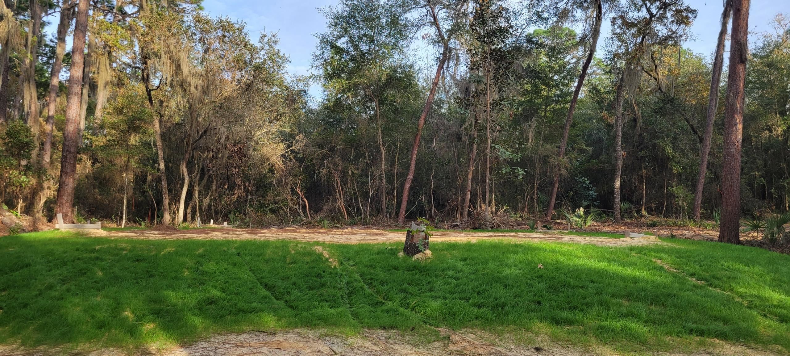 17983 Northeast 243rd Place Road Fort McCoy, FL 32134 - Photo 5 of 15 a view of yard with green space and trees