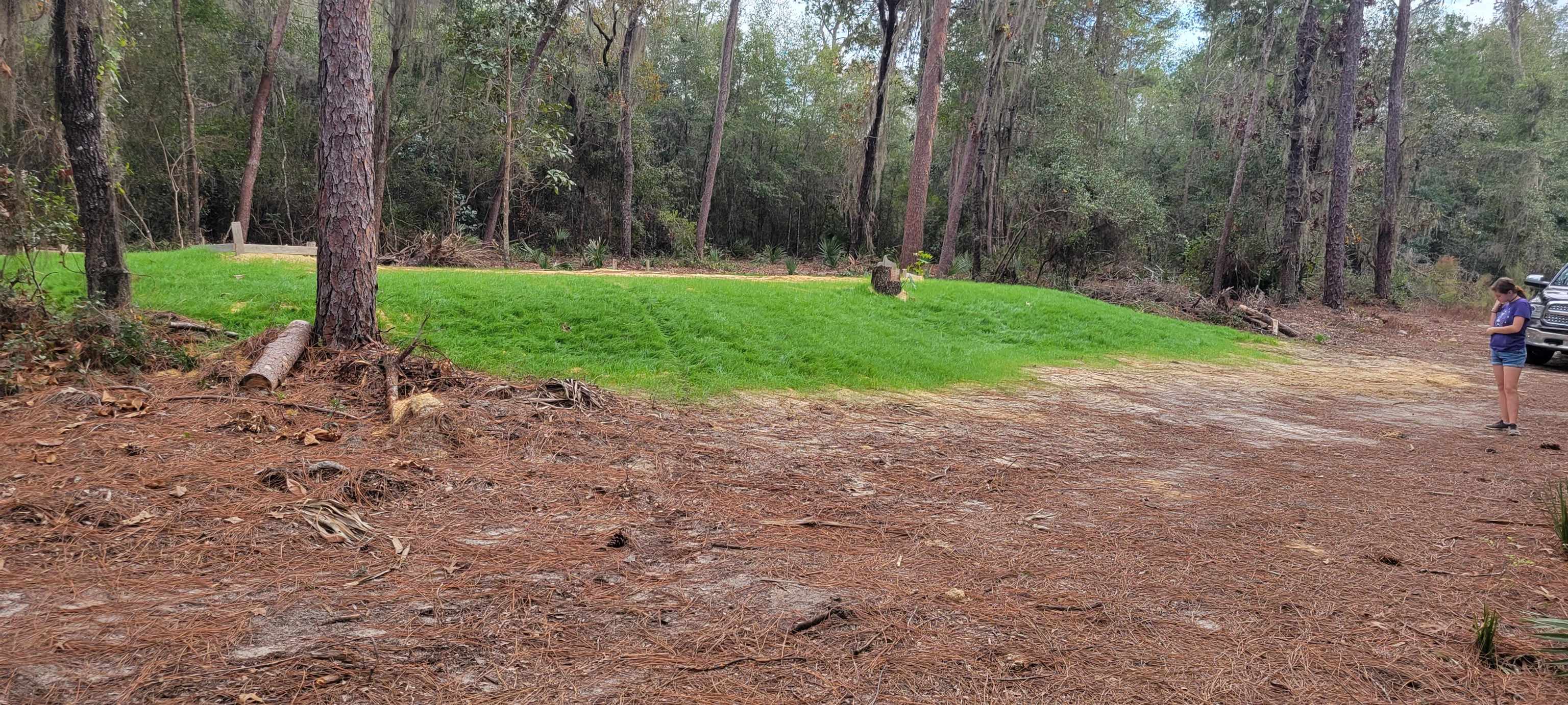 17983 Northeast 243rd Place Road Fort McCoy, FL 32134 - Photo 8 of 15 a view of a park with large trees