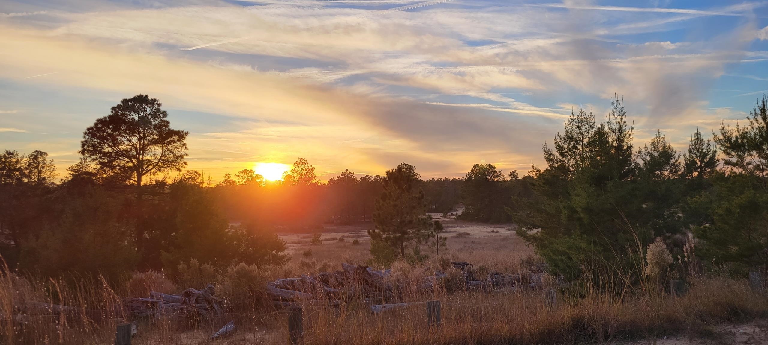 17983 Northeast 243rd Place Road Fort McCoy, FL 32134 - Photo 9 of 15 a view of a lake in middle of forest