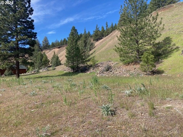 Elkview Canyon City, OR 97820 - Photo 1 of 7 a view of a yard with a tree