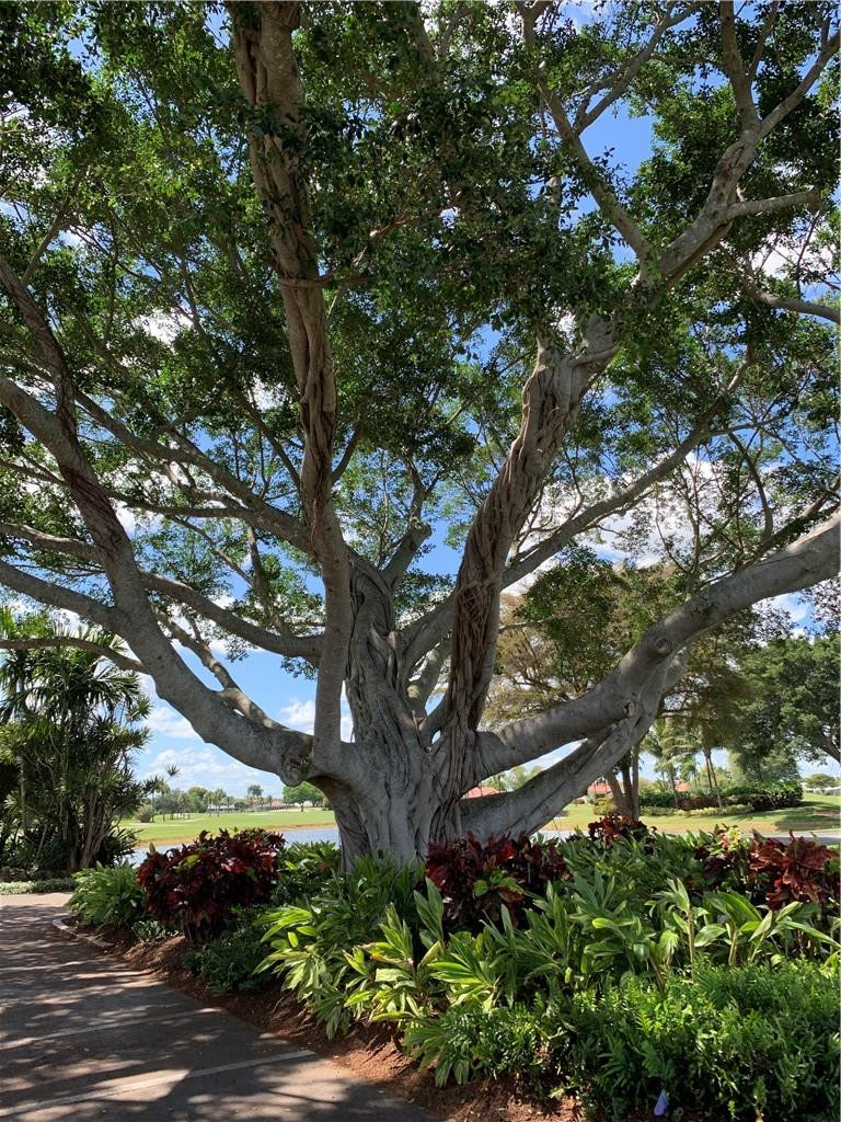 11086 Highland Circle Boca Raton, FL 33428 - Photo 47 of 52 Photo 47