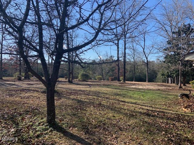71 Evans Road Poplarville, MS 39470 - Photo 16 of 28 IMG_5655