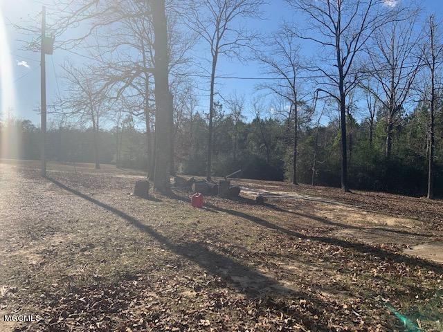 71 Evans Road Poplarville, MS 39470 - Photo 22 of 28 IMG_5648