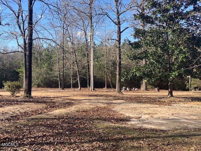 71 Evans Road Poplarville, MS 39470 - Photo 23 of 28 IMG_5625