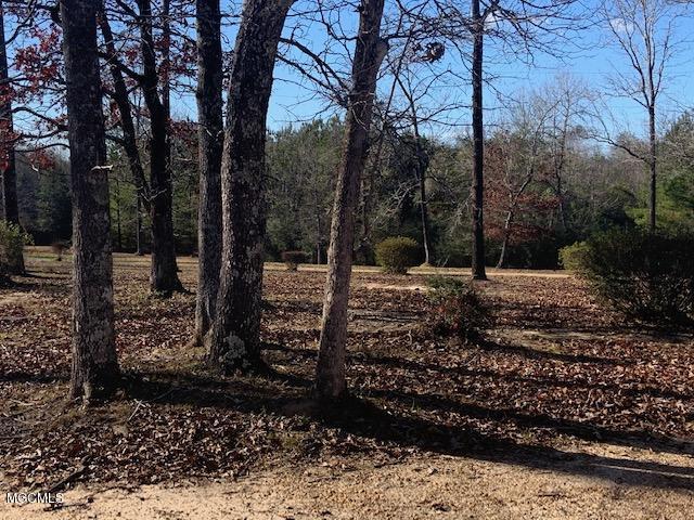 71 Evans Road Poplarville, MS 39470 - Photo 24 of 28 IMG_5622