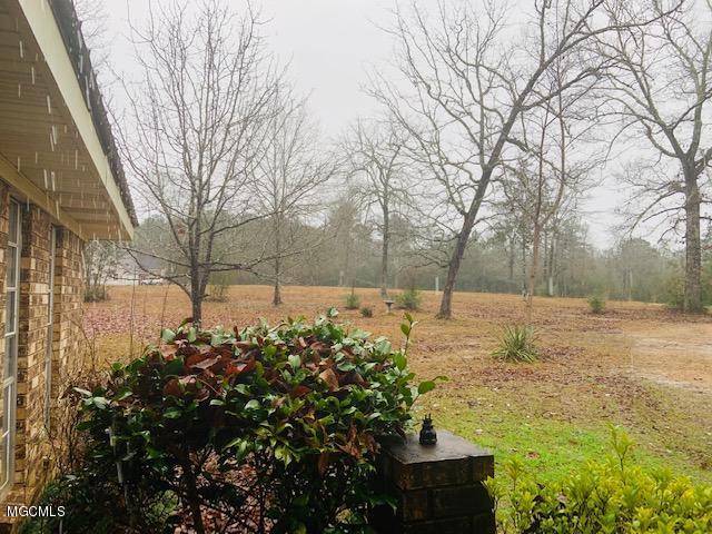 71 Evans Road Poplarville, MS 39470 - Photo 25 of 28 IMG_5616