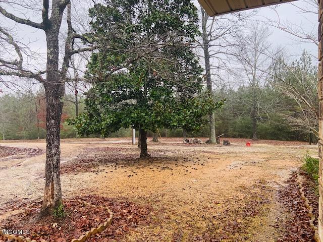 71 Evans Road Poplarville, MS 39470 - Photo 26 of 28 IMG_5615