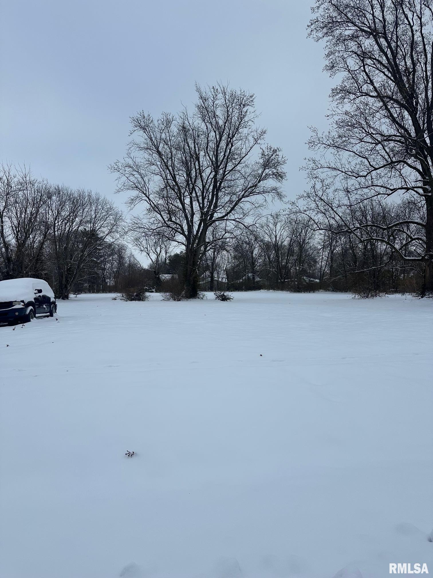 340 Pine Street Jacksonville, IL 62650 - Photo 4 of 4