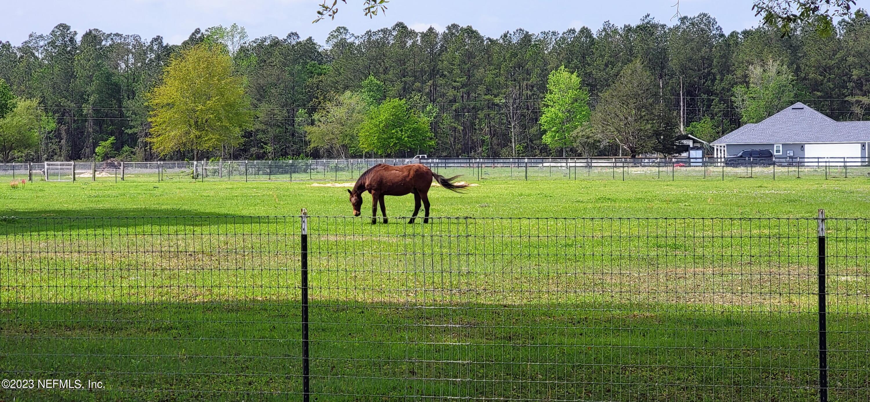 0 Southern States Nursery Road Macclenny, FL 32063 - Photo 4 of 26 Horses welcome