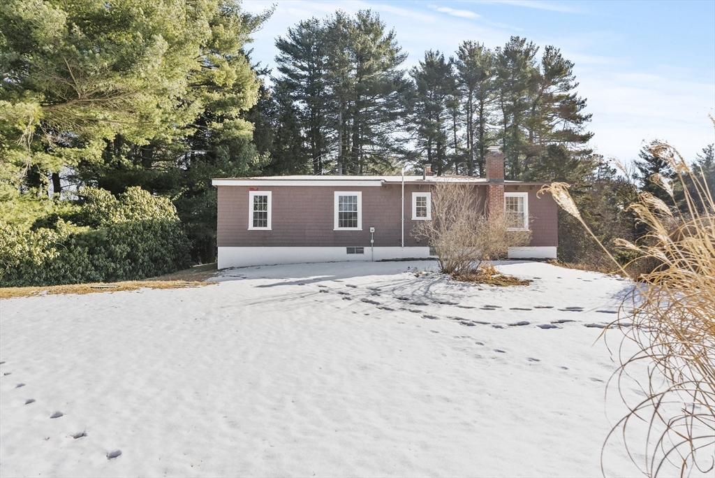 115 Kennedy Road Stoughton, MA 02072 - Photo 38 of 42 a view of backyard with large trees