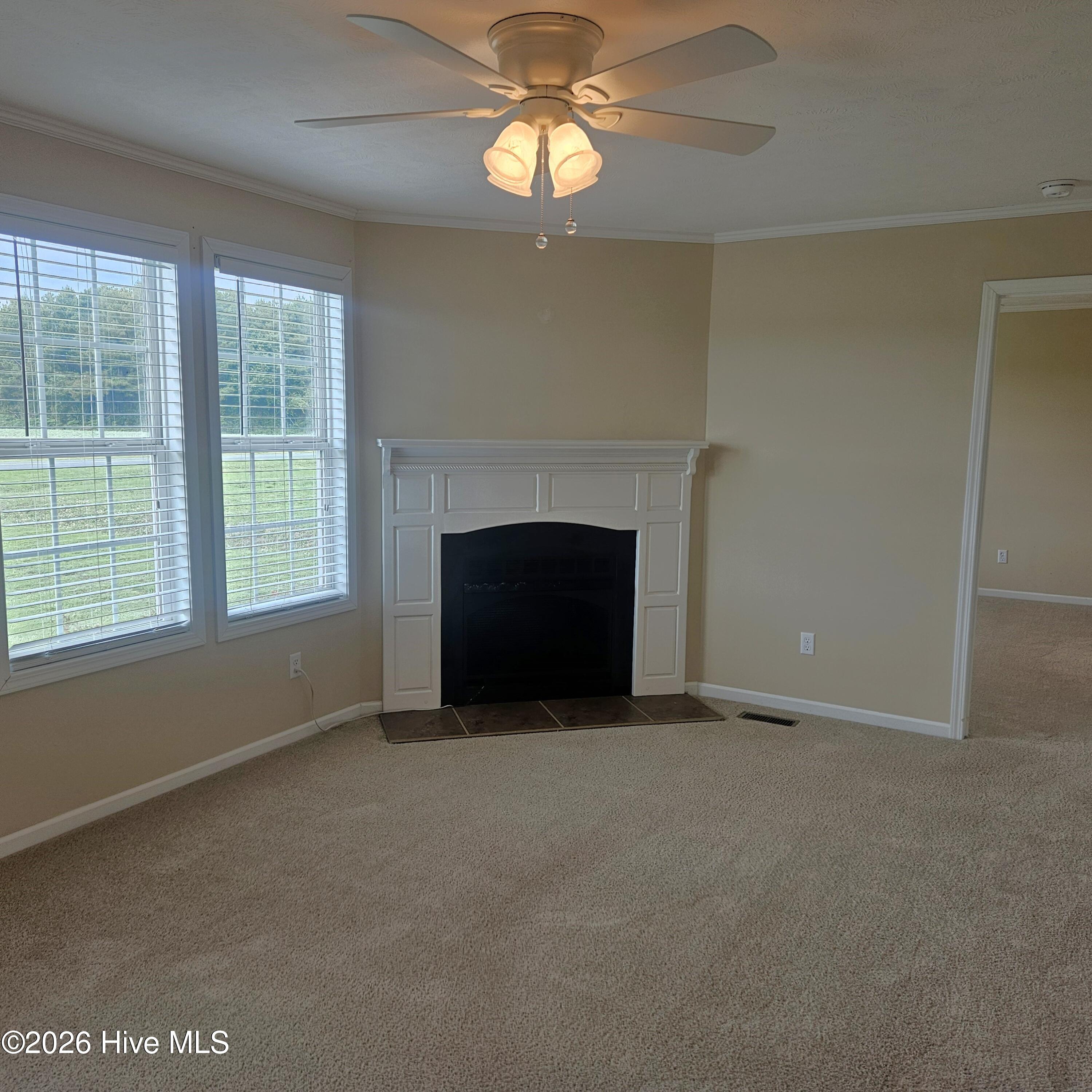 563 Daniels Road Corapeake, NC 27926 - Photo 6 of 54 Gallery Image 6