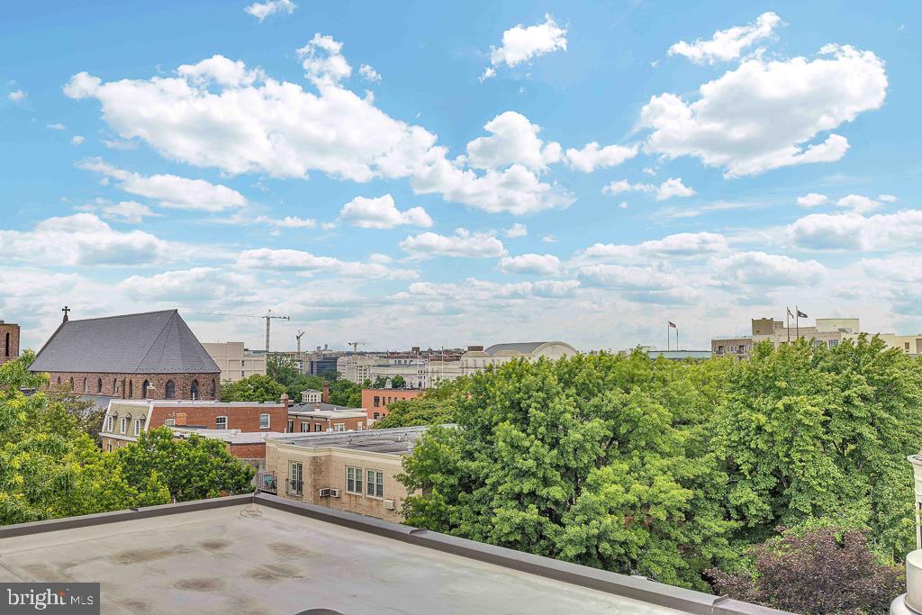 305 C Street Northeast, Unit 302 Washington, DC 20002 - Photo 14 of 26 Roof top