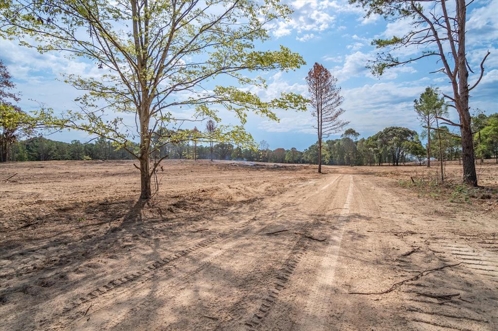 4307 Rd Larue Tx 75770 Road Larue, TX 75770 - Photo 6 of 17 Expansive cleared land parcel with a visible dirt path and mature trees