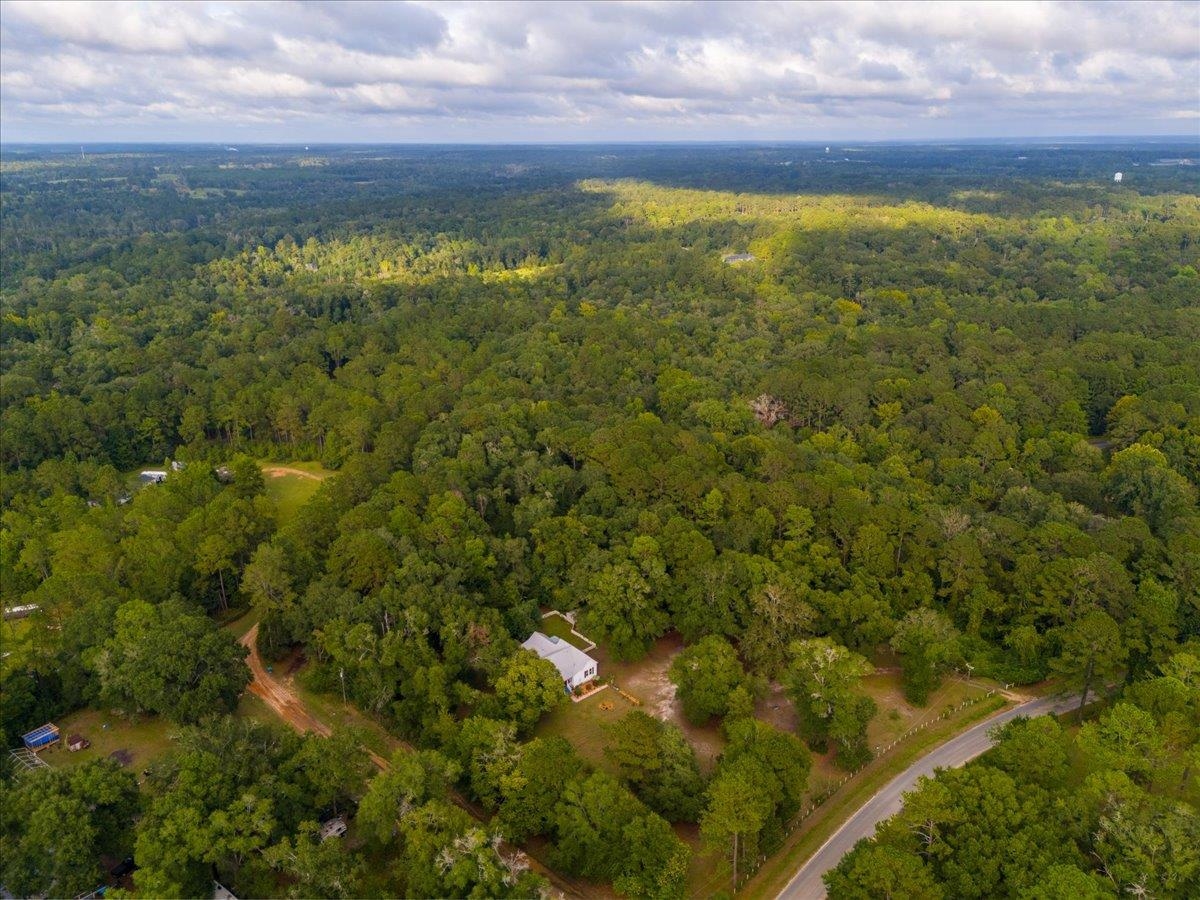 450 Riverview Road Havana, FL 32333 - Photo 11 of 41 Gallery Image 11