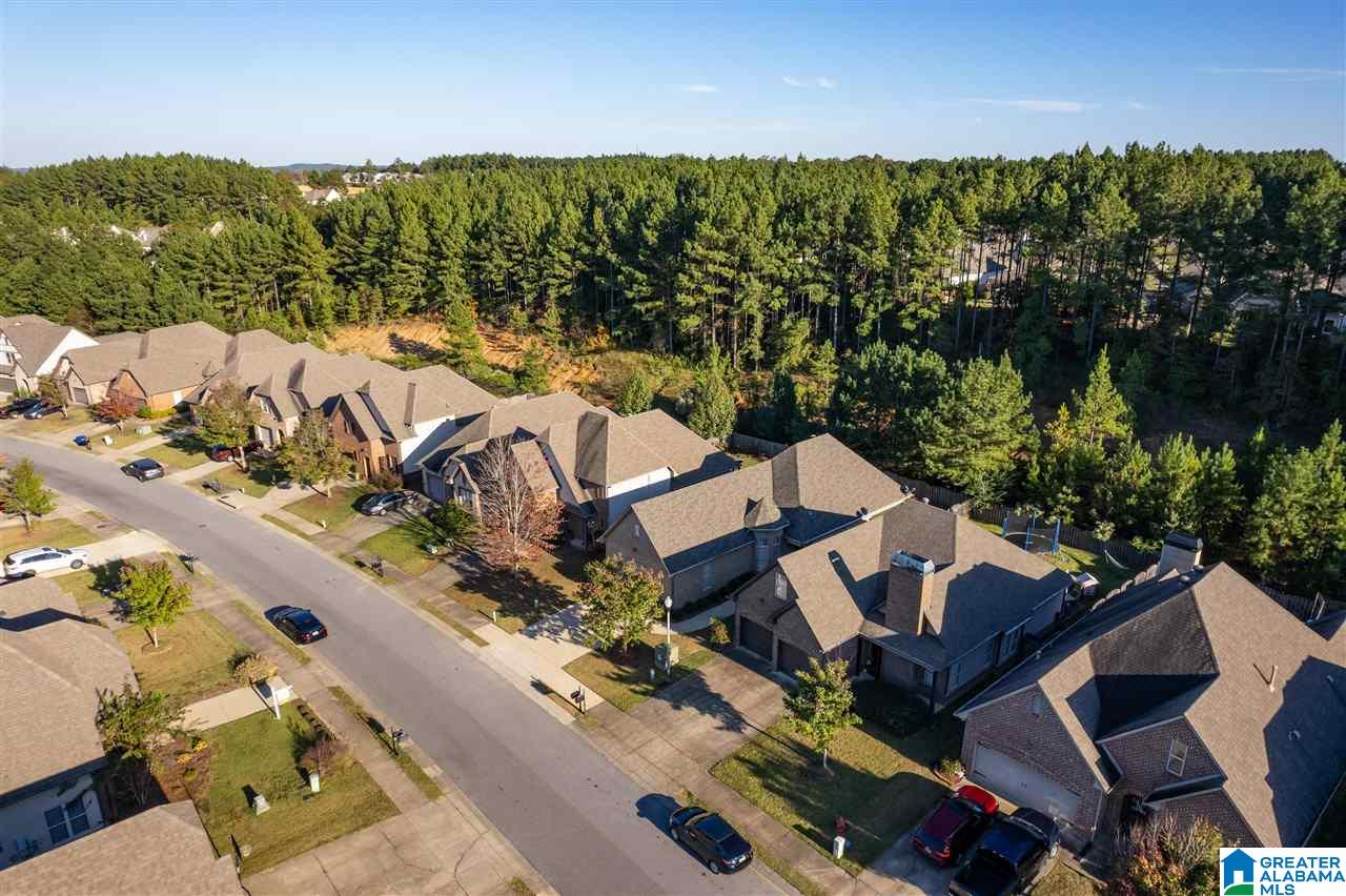 1064 Springfield Drive Chelsea, AL 35043 - Photo 28 of 31
