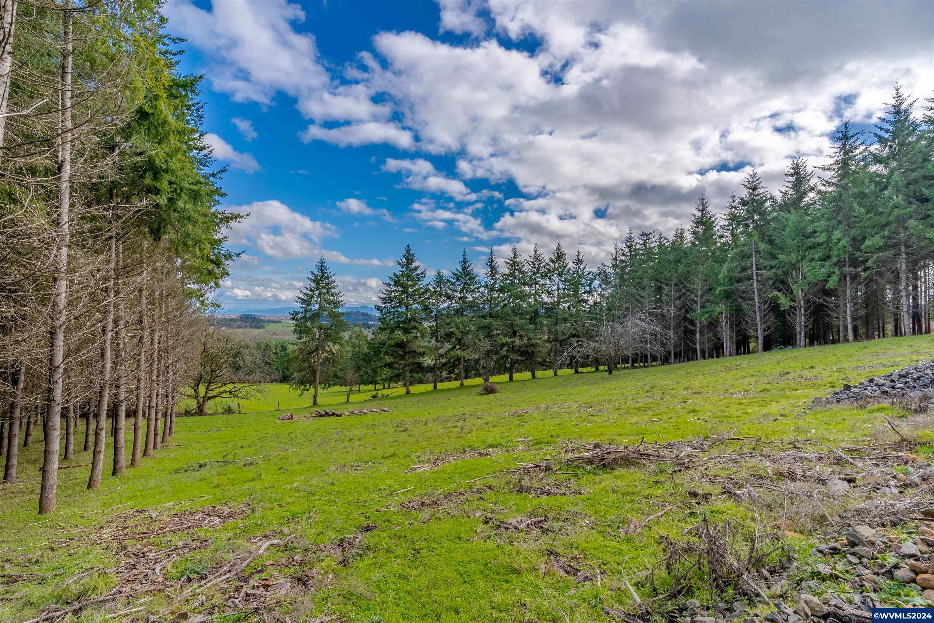 Larson (ta R421034) Road Monroe, OR 97456 - Photo 1 of 30
