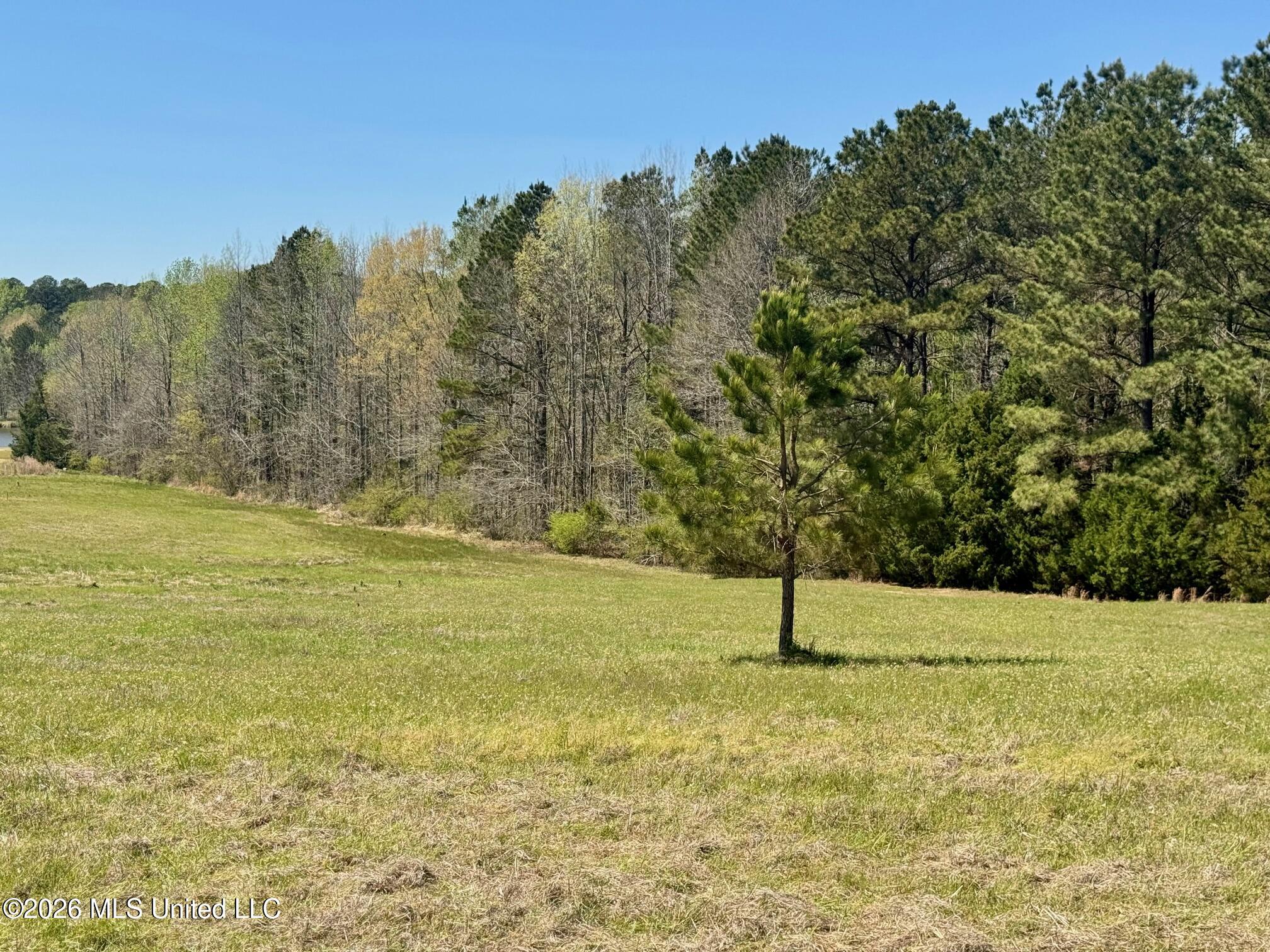 735 Cedar Hill Road Flora, MS 39071 - Photo 2 of 10 IMG_7939