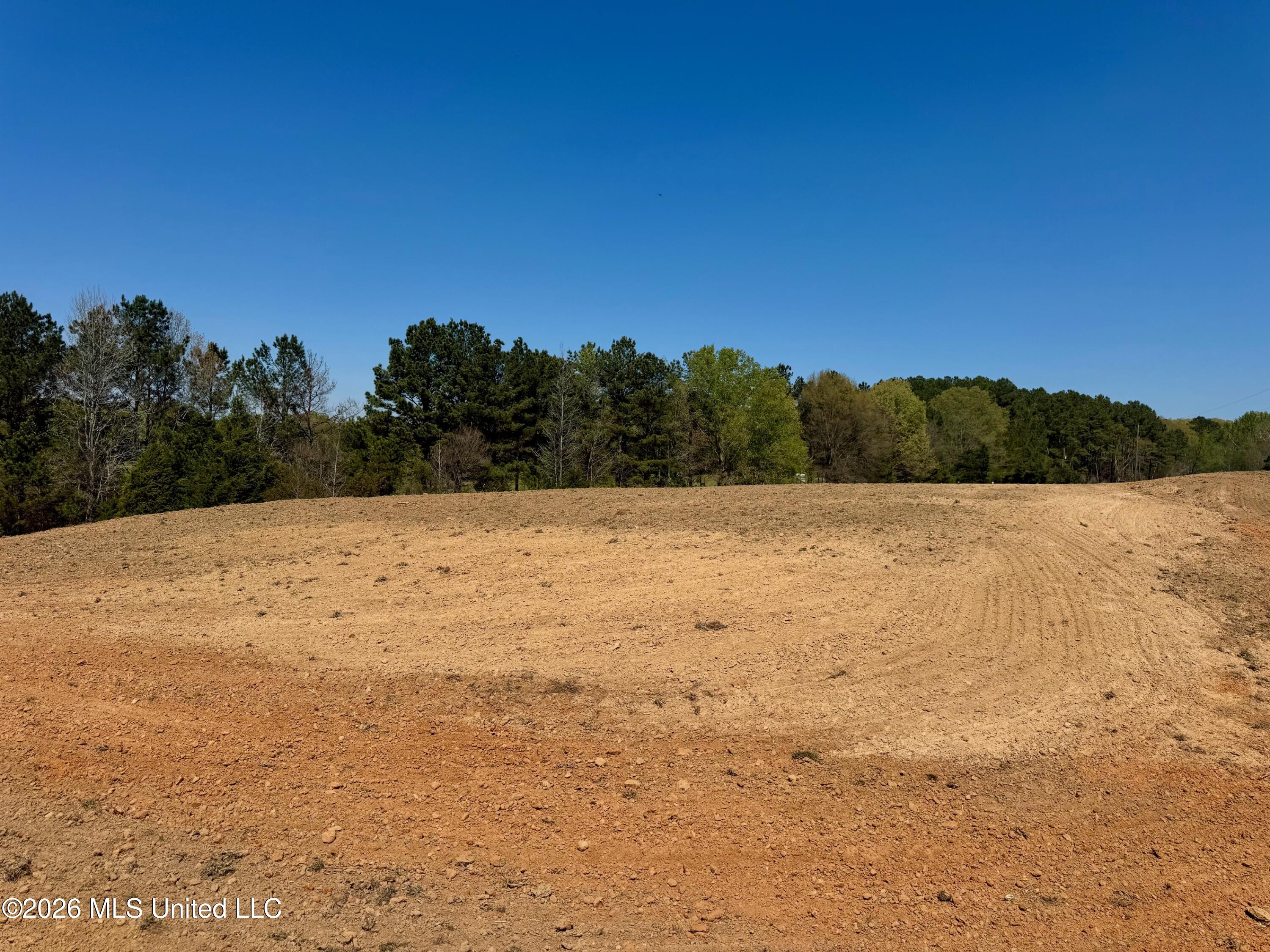 735 Cedar Hill Road Flora, MS 39071 - Photo 3 of 10 IMG_7938