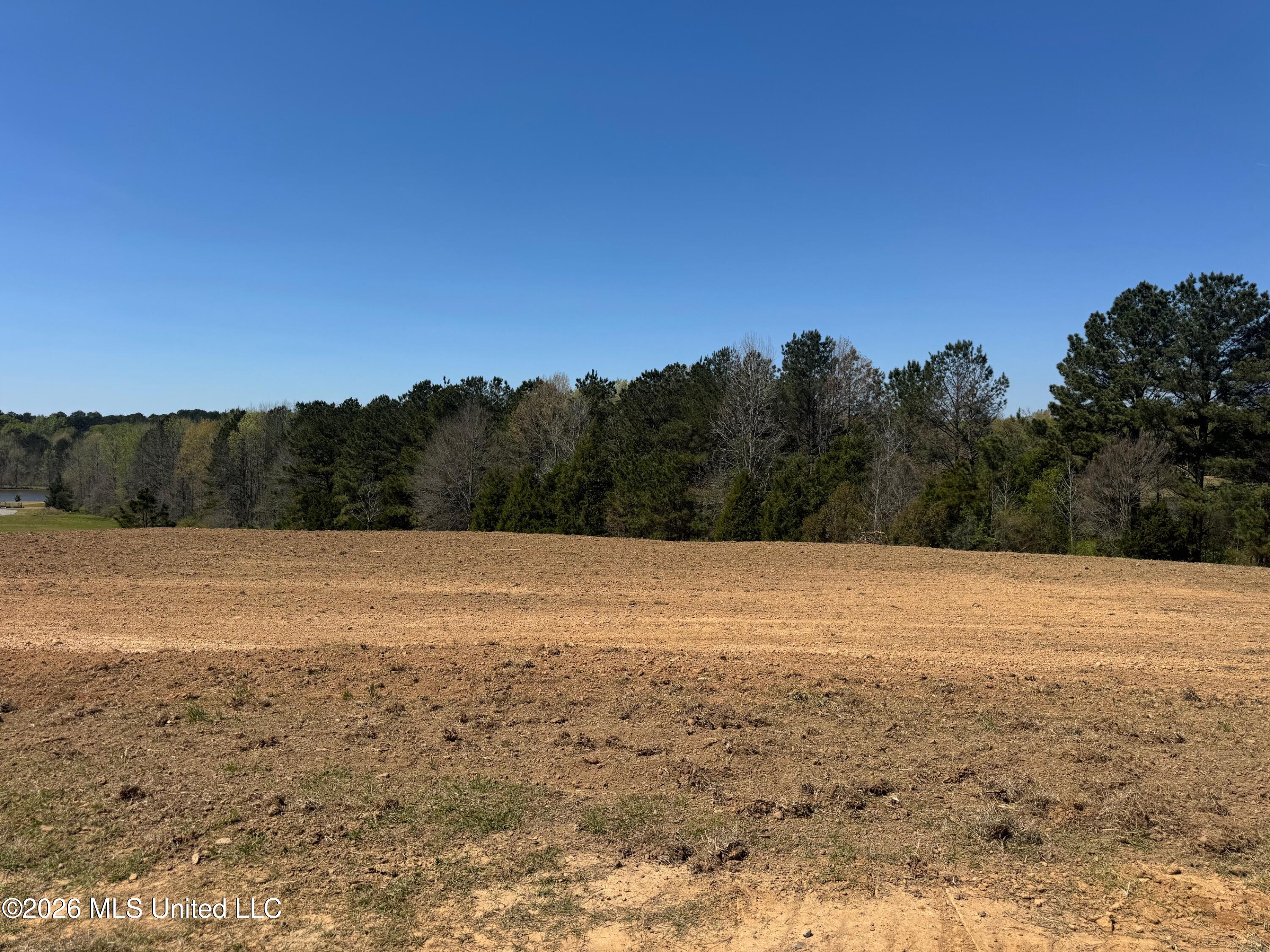 735 Cedar Hill Road Flora, MS 39071 - Photo 4 of 10 IMG_7927