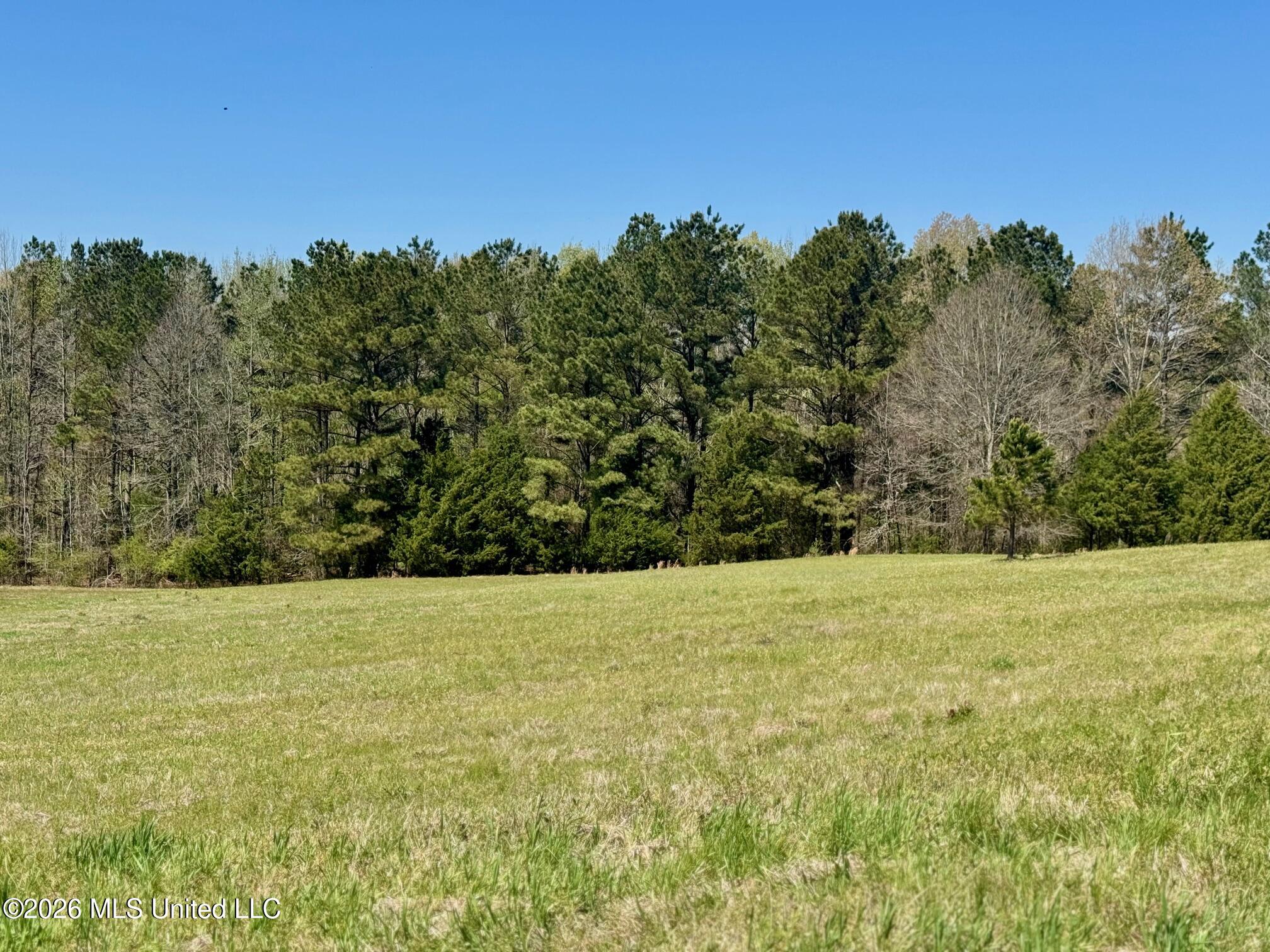 735 Cedar Hill Road Flora, MS 39071 - Photo 7 of 10 IMG_7933