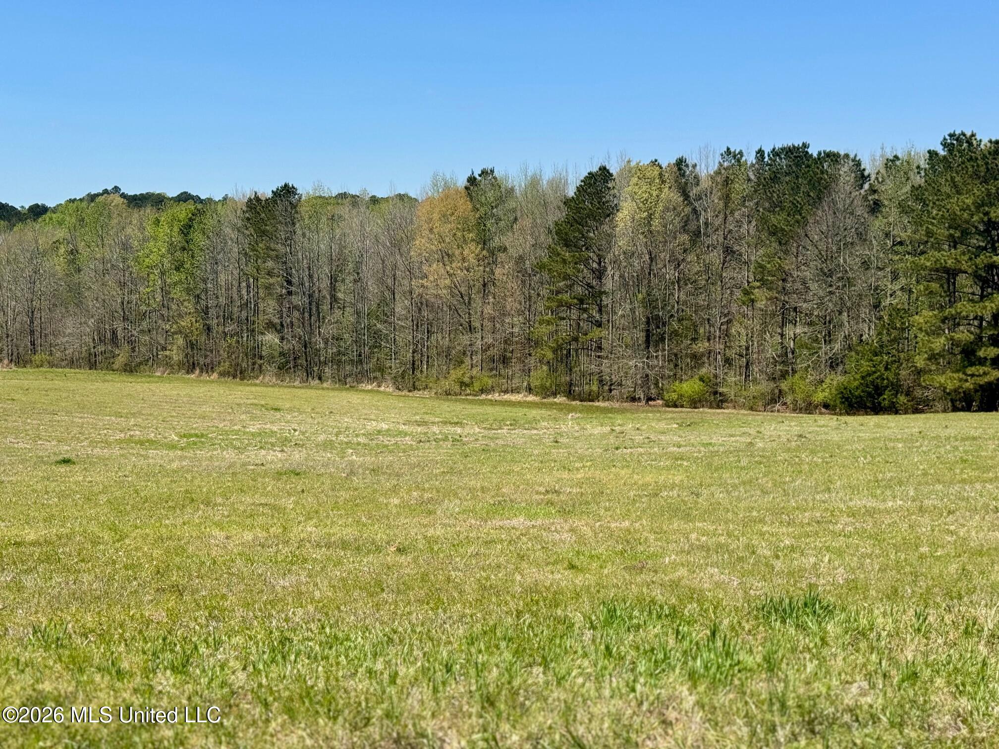 735 Cedar Hill Road Flora, MS 39071 - Photo 8 of 10 IMG_7934