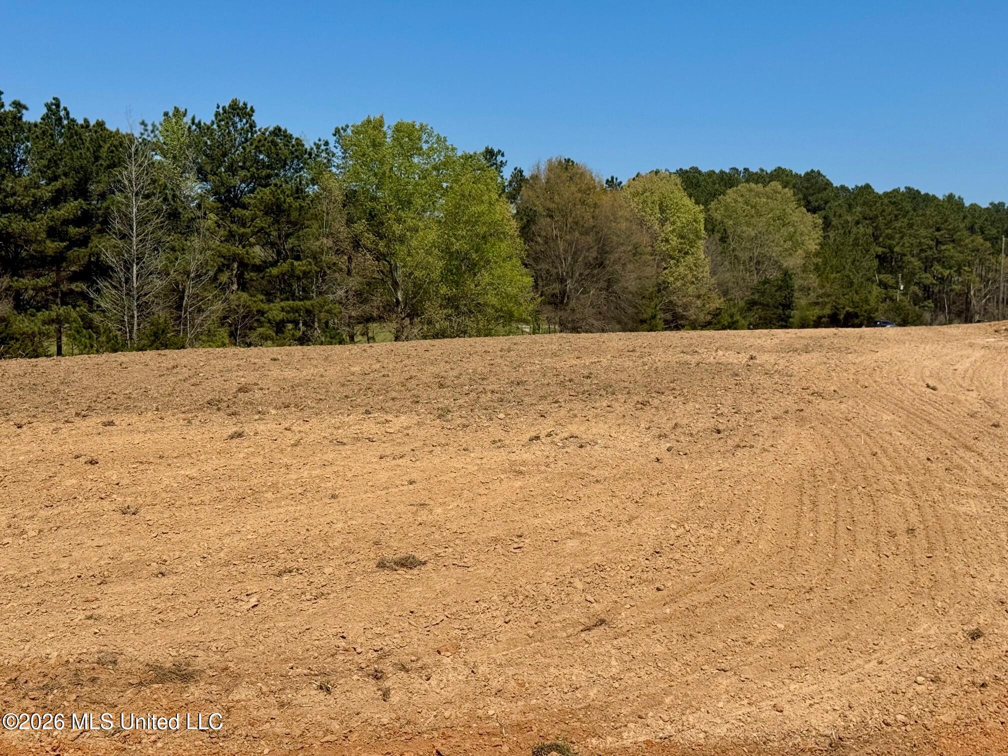 735 Cedar Hill Road Flora, MS 39071 - Photo 10 of 10 IMG_7936