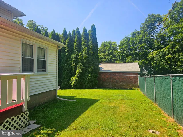 a view of a yard with plants