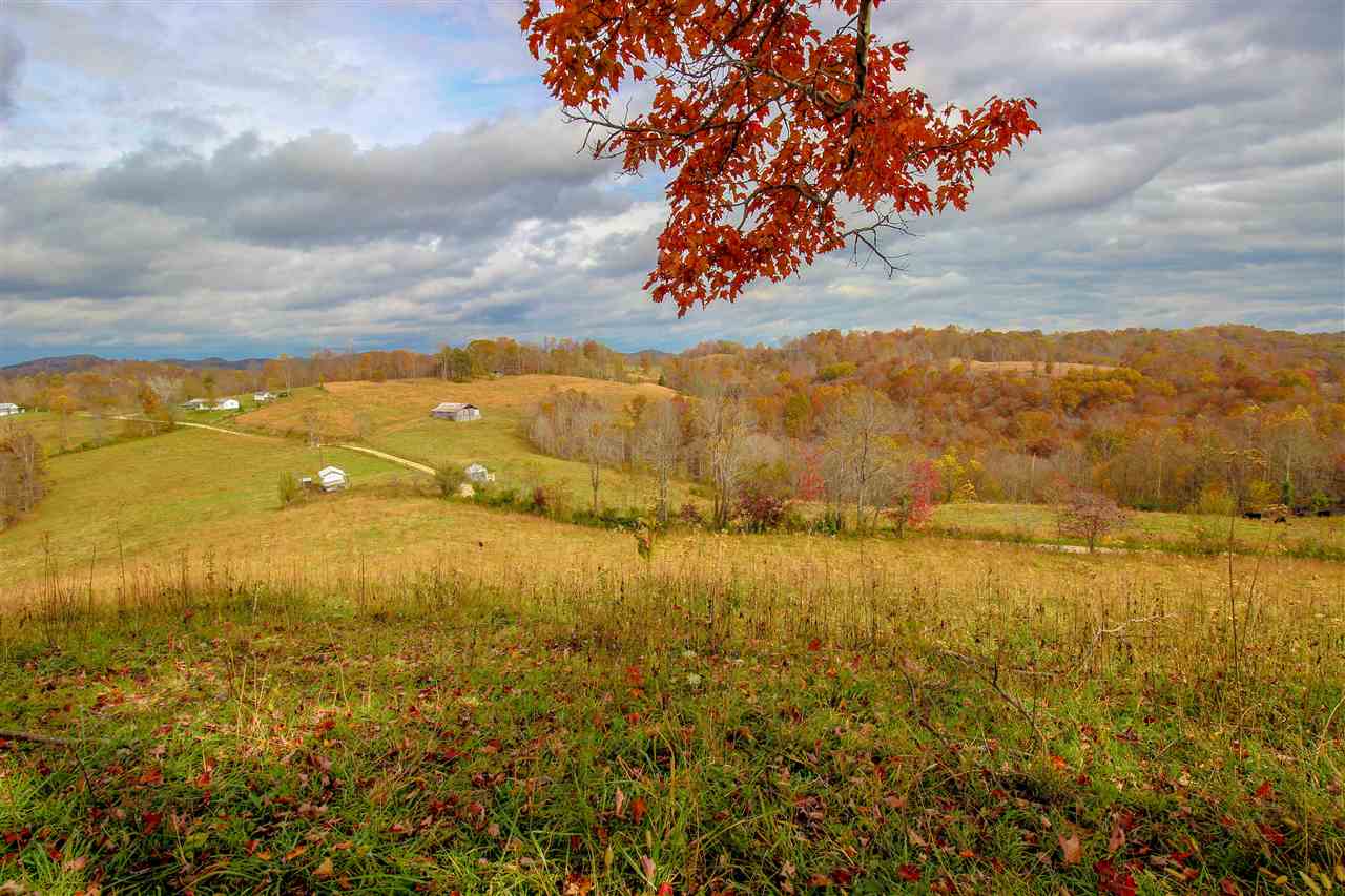 251 Adkins Ridge Road Branchland, WV 25506 - Photo 11 of 17 Gallery Image 11
