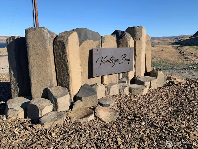 a view of a bunch of flowers and trees