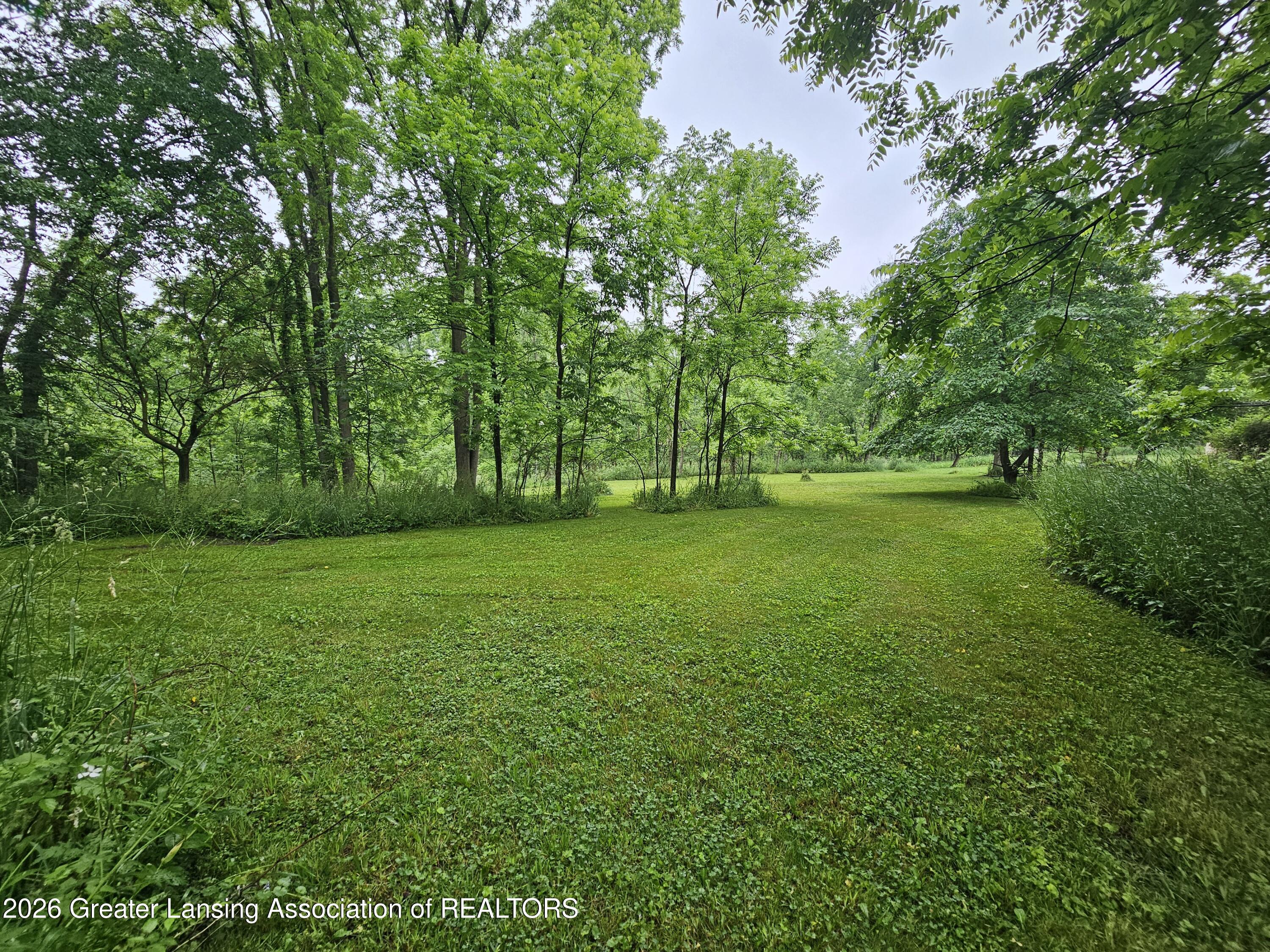 14540 South Wacousta Road Grand Ledge, MI 48837 - Photo 34 of 48 Yard
