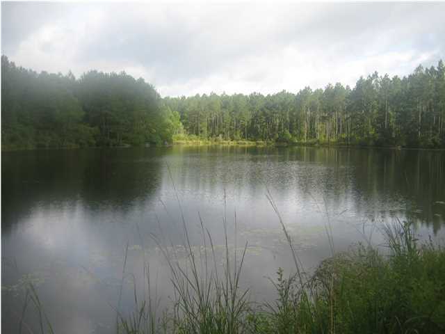 1633 Chesser Road DeFuniak Springs, FL 32435 - Photo 11 of 11 Gallery Image 11