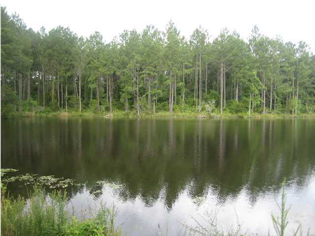 1633 Chesser Road DeFuniak Springs, FL 32435 - Photo 10 of 11 Gallery Image 10