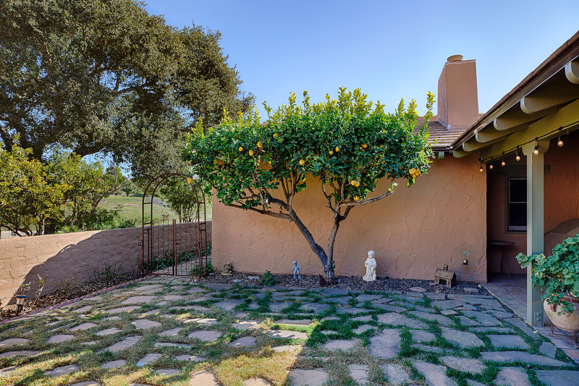 2805 North Refugio Road Santa Ynez, CA 93460 - Photo 6 of 46 Meyer lemons