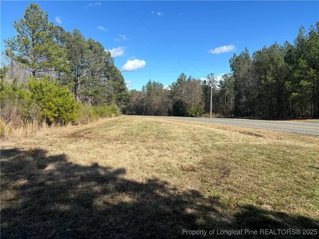 a view of a yard with lots of trees