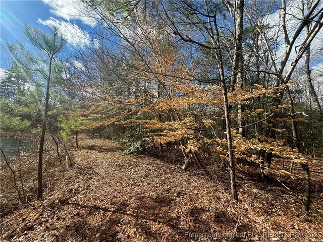 a view of a floor to ceiling window